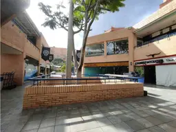 Vista 4