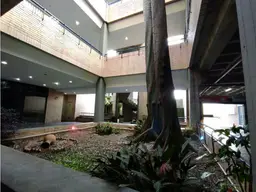 Vista 6