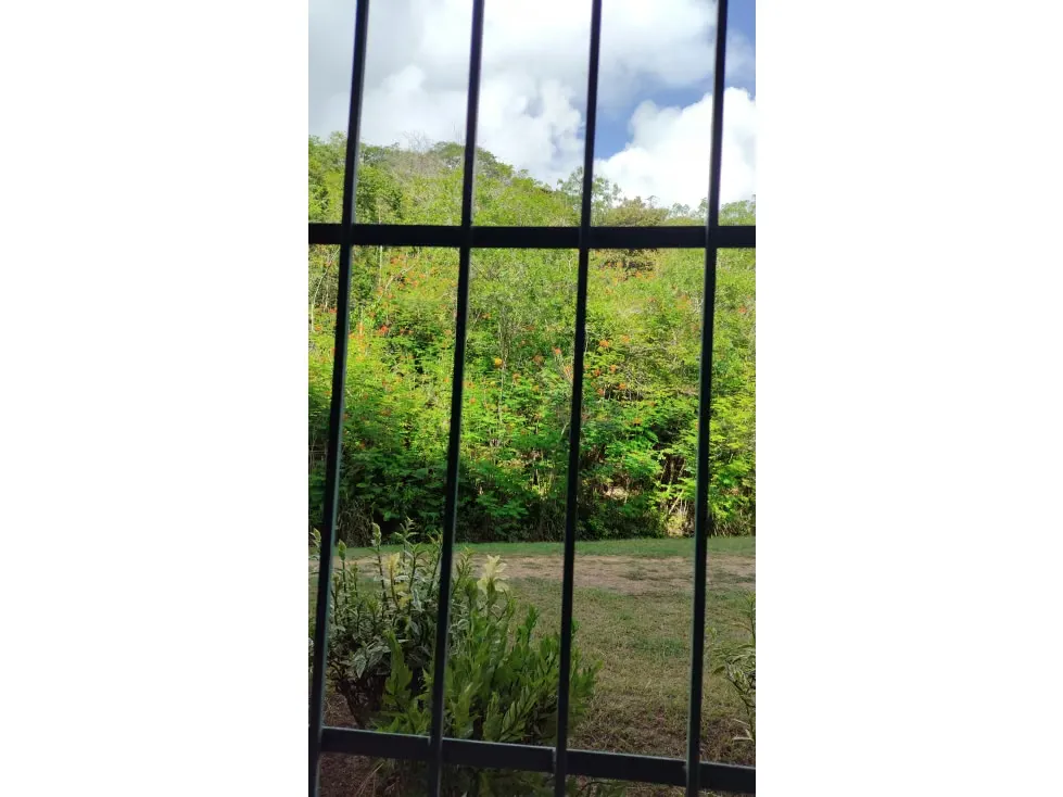 Apartamento en venta 62m², Guarenas, Nueva Casarapa, Las Siembras - 3