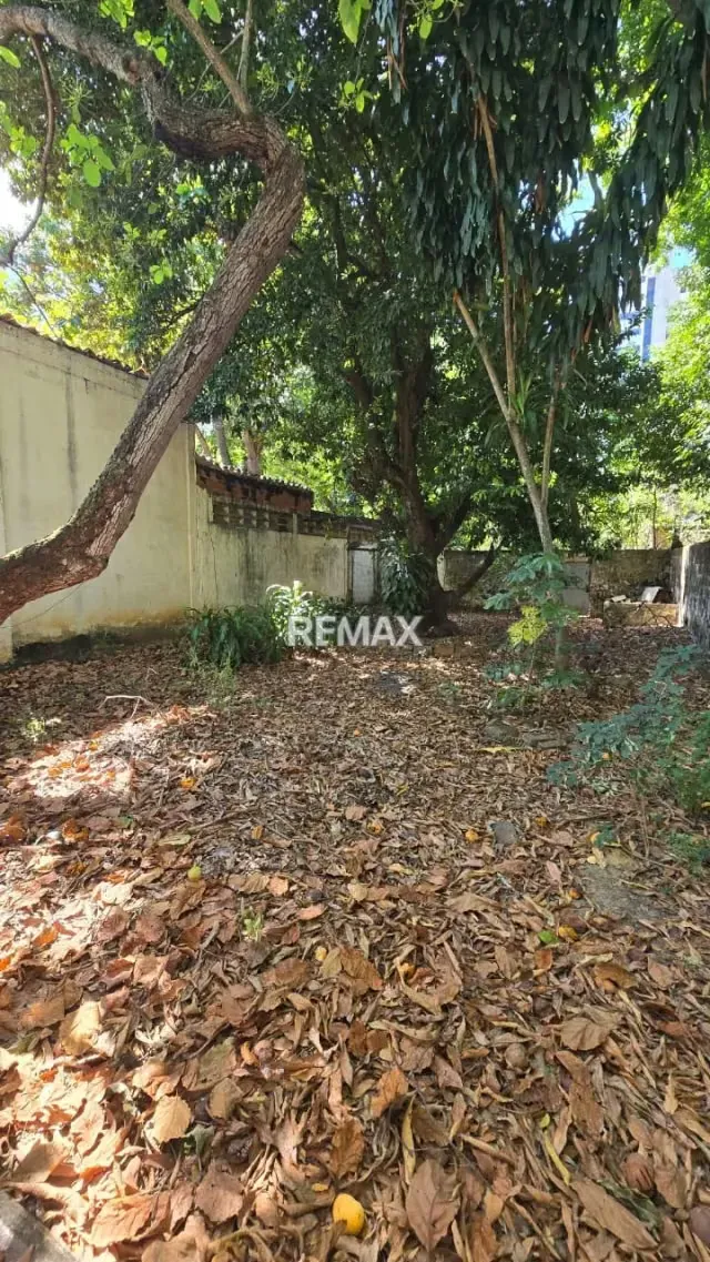 Casa Residencial Altamente Comercial - 14