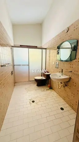Vista 19
