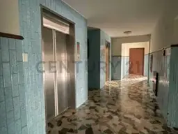 Vista 5