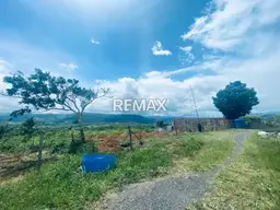 View 11