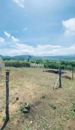 View 8