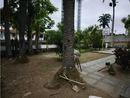 Vista 28