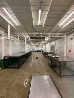 View 16
