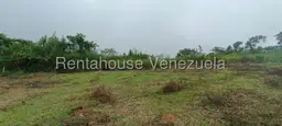 View 1
