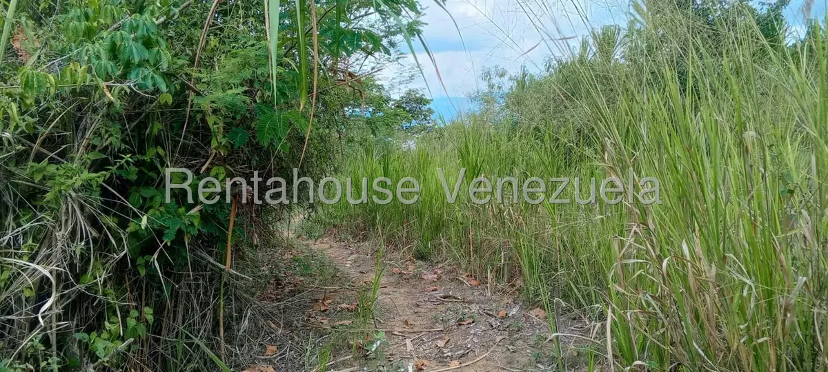 Terreno (Residencial) en Venta en La Mata, Trujillo - 11