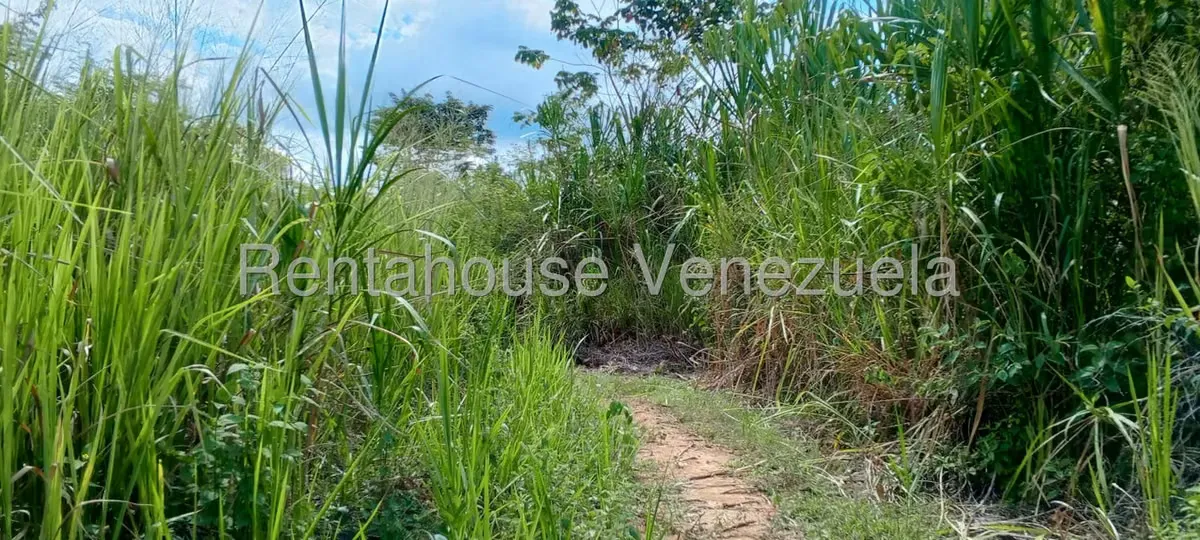 Terreno (Residencial) en Venta en La Mata, Trujillo - 12