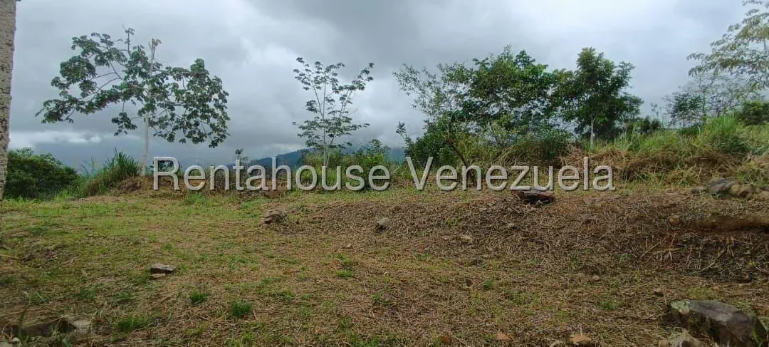 Terreno (Residencial) en Venta en La Mata, Trujillo - 3
