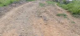 View 5