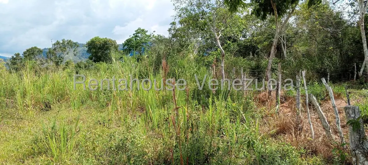 Terreno (Residencial) en Venta en La Mata, Trujillo - 6
