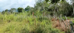 View 6