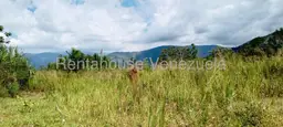 View 7
