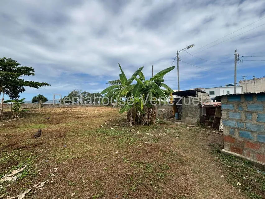Terreno (Comercial) en Venta en Higuerote, Miranda - 6