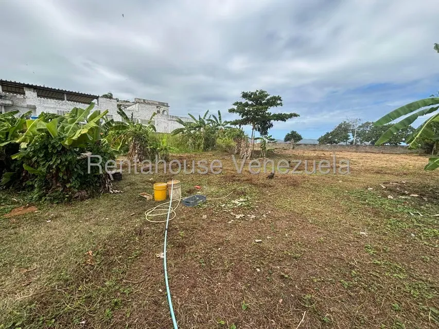 Terreno (Comercial) en Venta en Higuerote, Miranda - 7