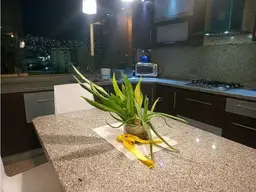 View 15