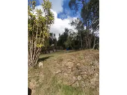 Vista 11