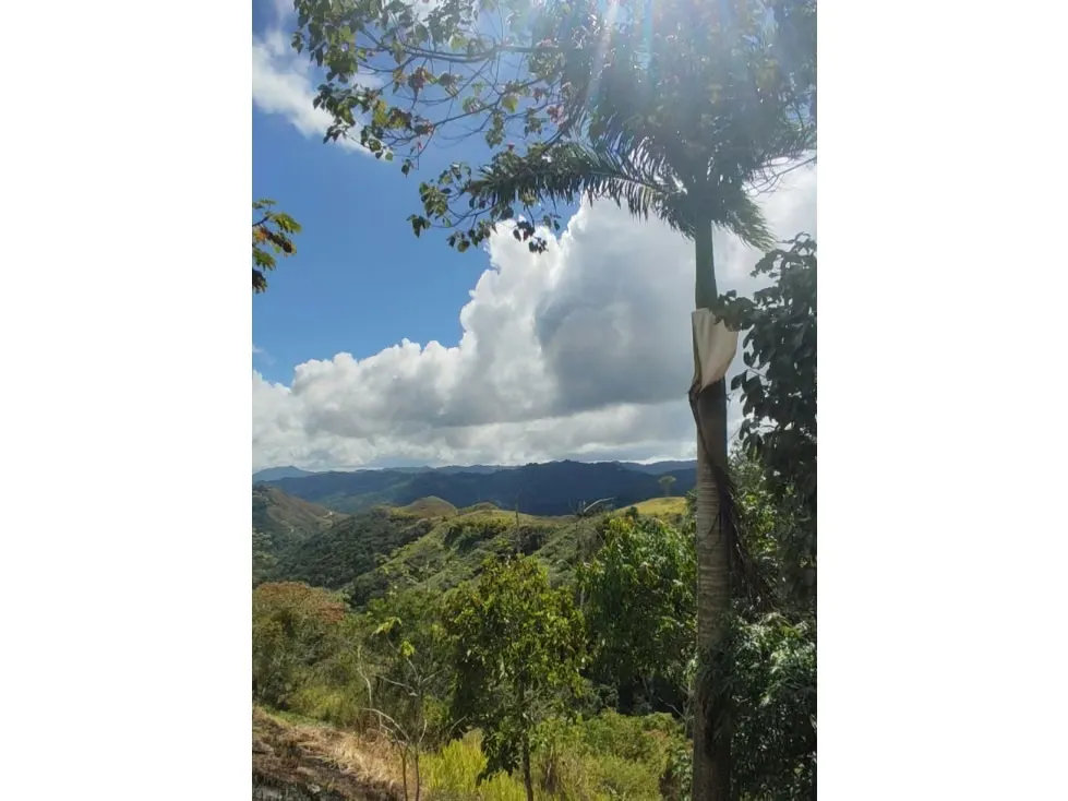VENTA DE TERRENO EN EL HATILLO - 12