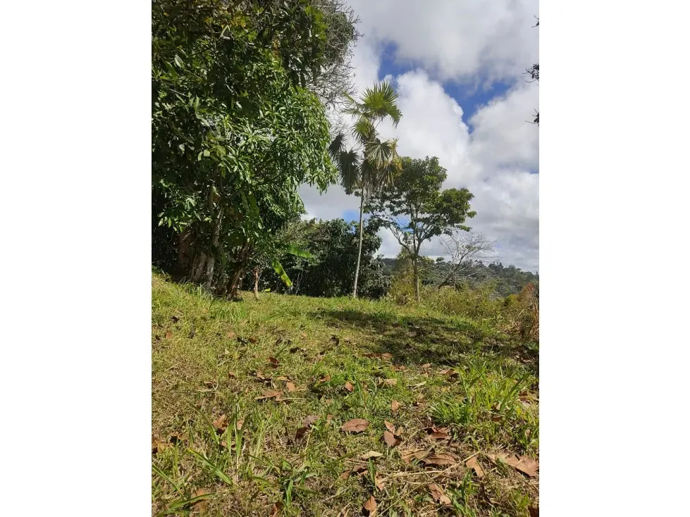 VENTA DE TERRENO EN EL HATILLO - 6