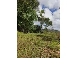 Vista 6