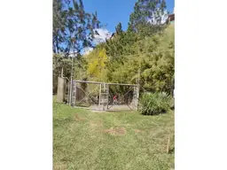 Vista 10