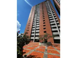 Vista 1