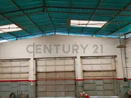 Vista 5