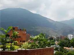 Vista 14