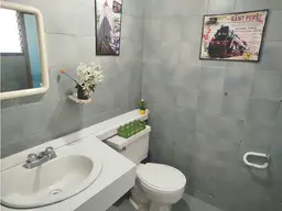 Vista 10