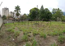 Vista 1