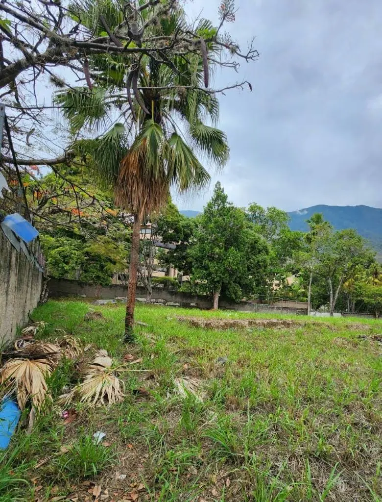 Terreno en venta en La Castellana de 1.232 m² - 2