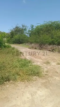 View 6