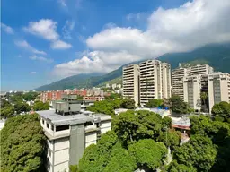 Vista 19