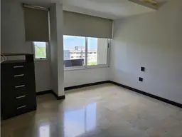 Vista 15