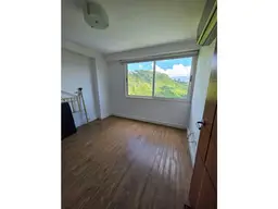 Vista 20