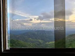 Vista 6