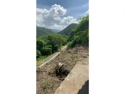 View 14