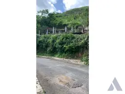 View 15