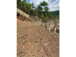 View 8