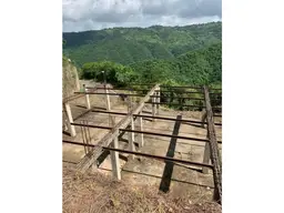 View 10