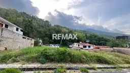 Vista 1