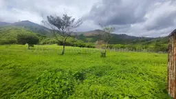 Vista 15