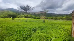 Vista 18