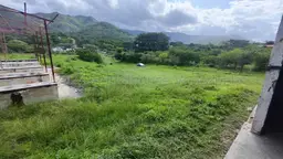 Vista 38