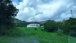 Vista 40