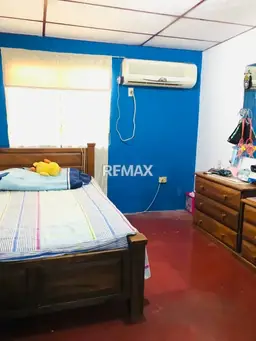 Vista 12