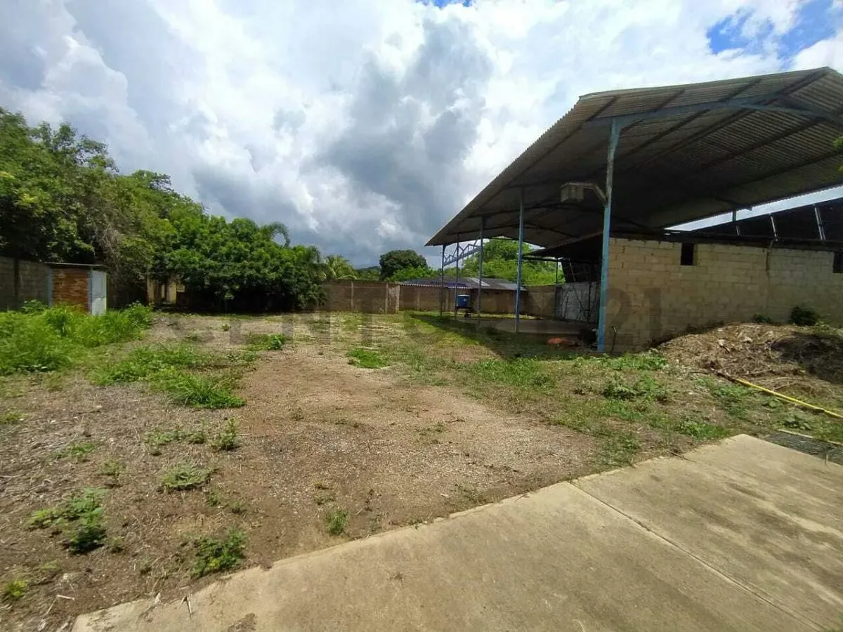 En venta Casa + Galpones + Local comercial en Piritu, todo en un solo lugar - 2
