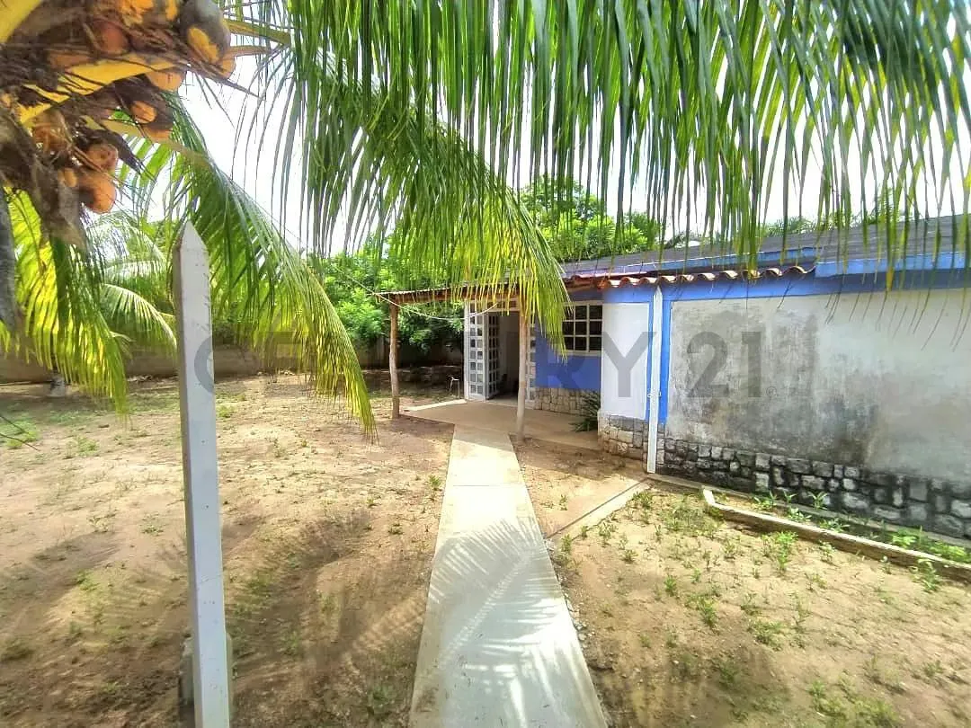 En venta Casa + Galpones + Local comercial en Piritu, todo en un solo lugar - 4