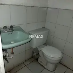 Vista 5